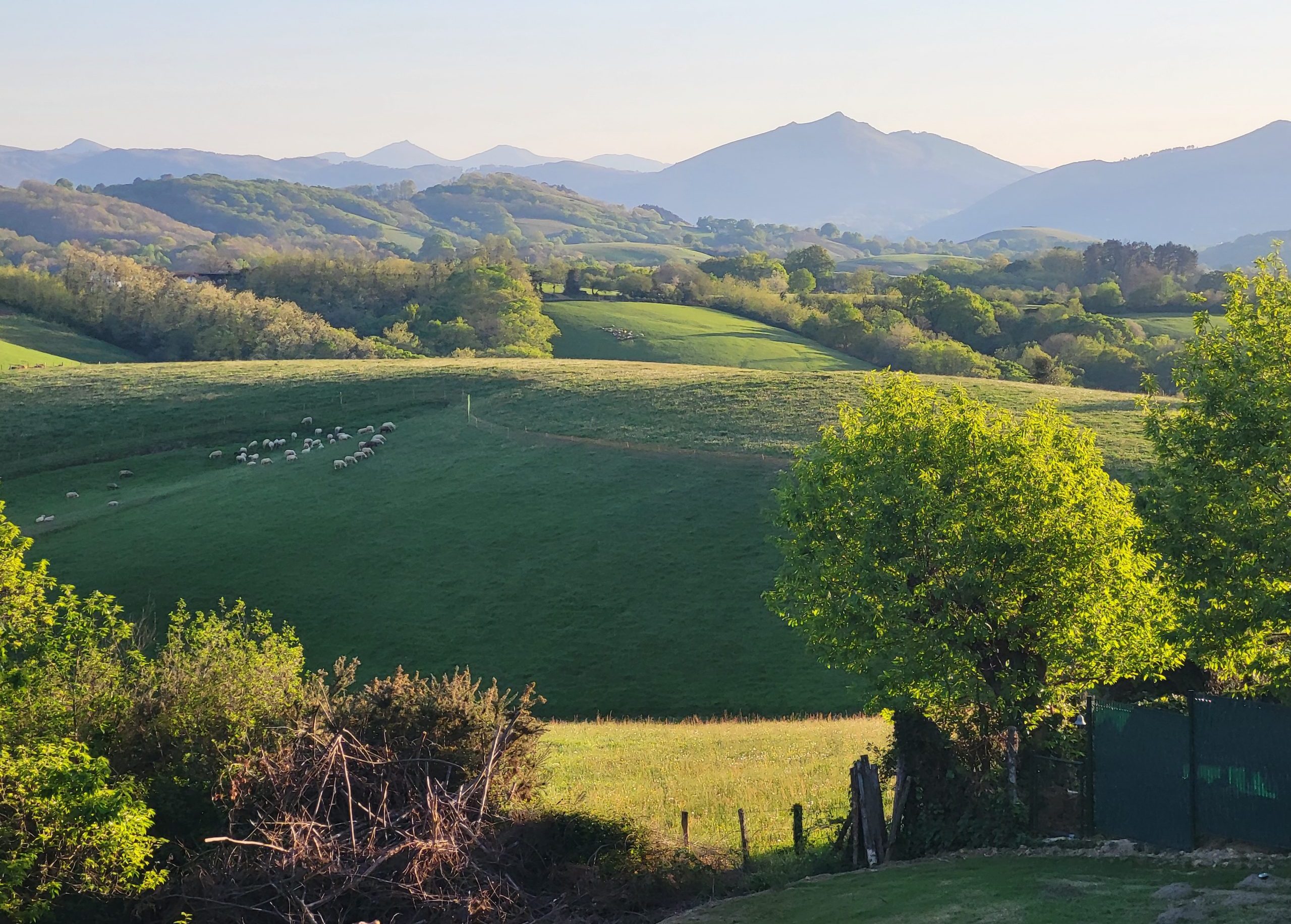 JPEG VUE ENSOLLEILLEE